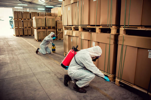Best Pest Control Near Me  in Summerside, OH