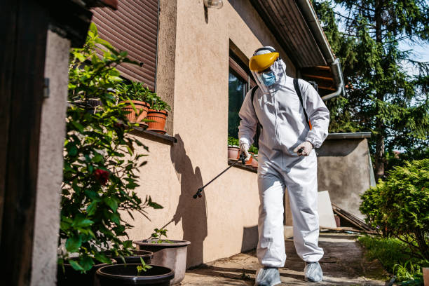 Best Mosquito Control Services  in Summerside, OH