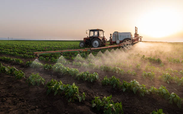 Best Pest Removal Services  in Summerside, OH
