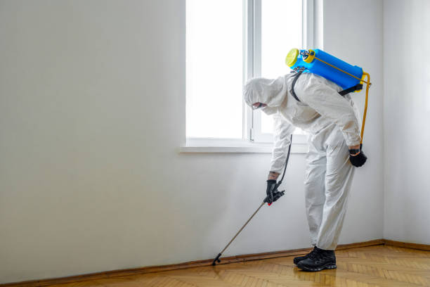 Pest Control for Restaurants in Summerside, OH