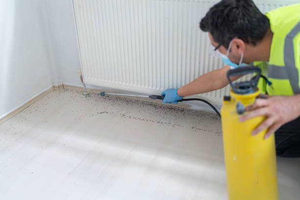 Best Best Pest Control Companies  in Summerside, OH